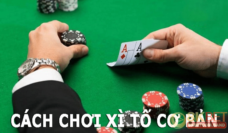 Cấu trúc cơ bản vòng chơi xì tố cho tân thủ